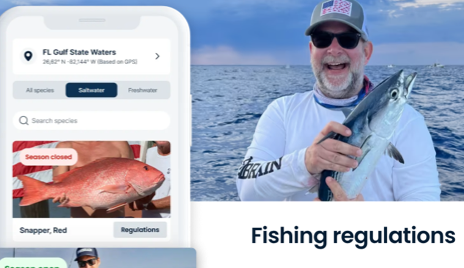 Fish Rules by FishBrain