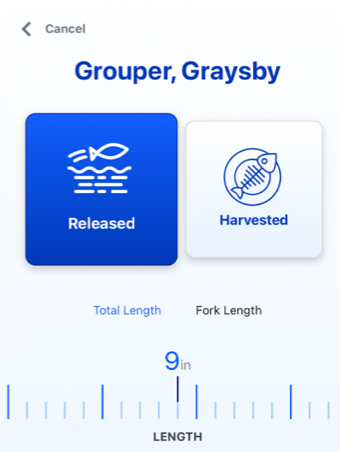 Mobile App Screen
